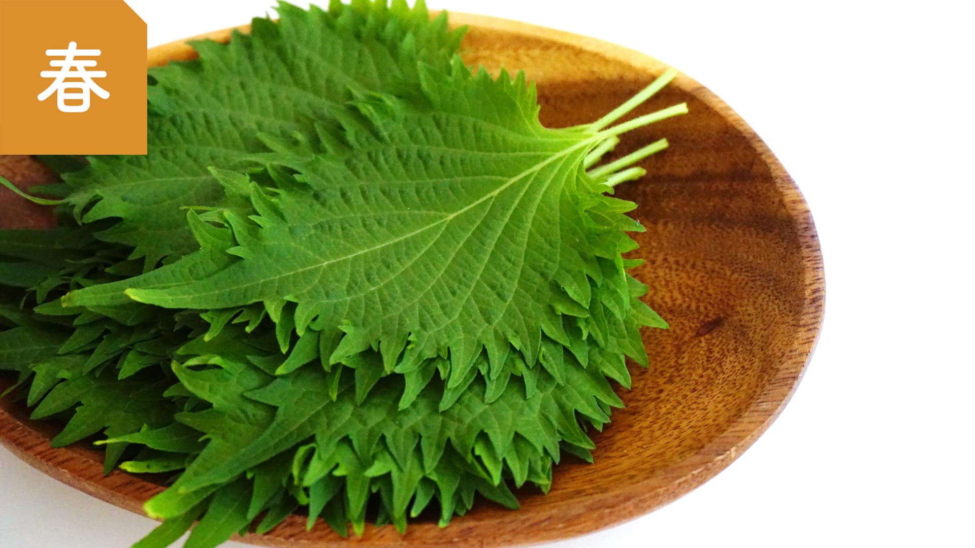 ［春］春の薬膳／発散を促すシソで春の"むずむず"をケアする